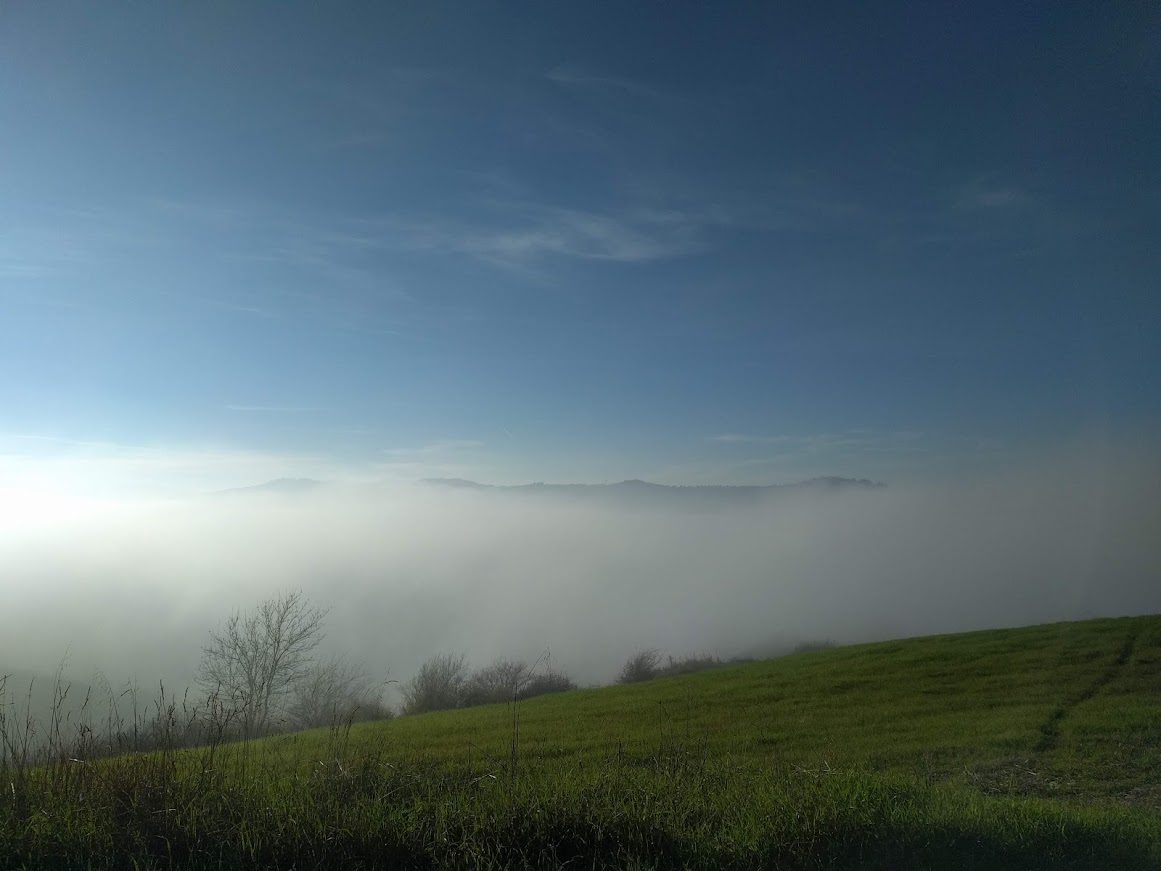 IMG_20220101_144617.jpg